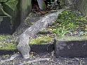 2011-04-16, Eliasfriedhof (55)